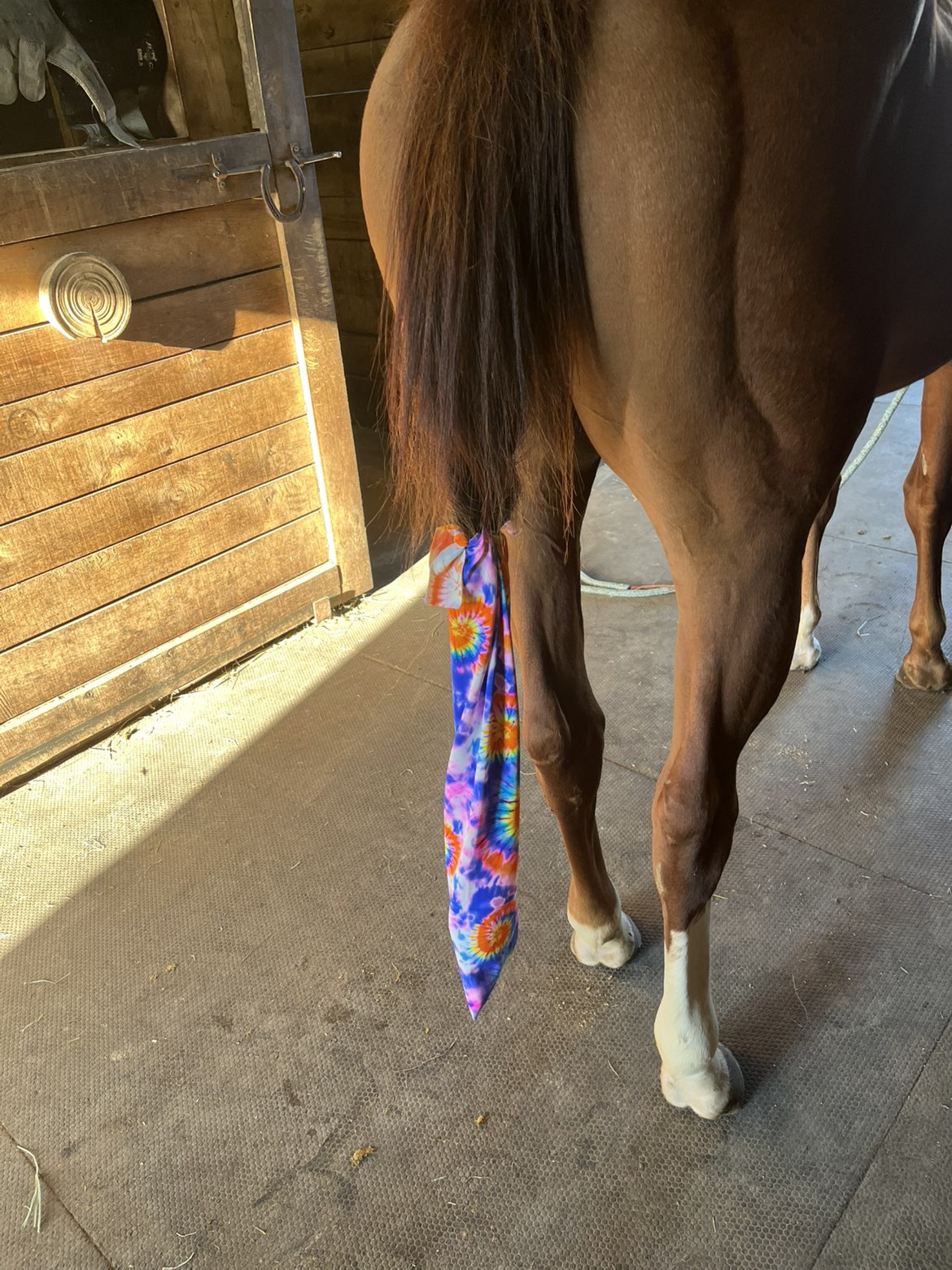 Tail-bag / sac à crin