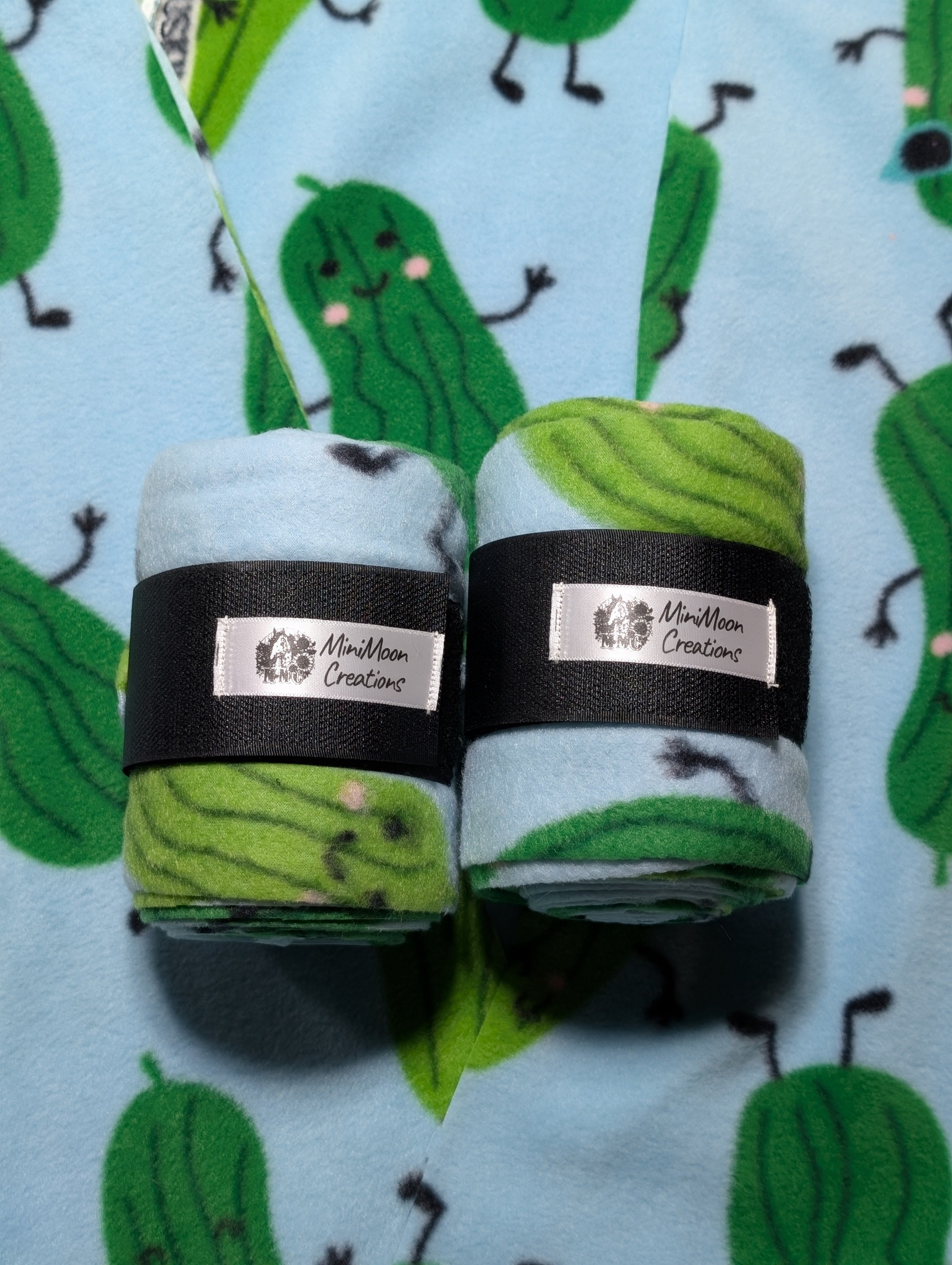 Modèle 071 - Pickles